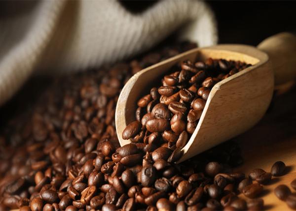 Colombia Sierra Nevada Fair Trade Organic - 1 Pound